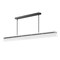 Maxim Lighting Spectre 61.5'' Linear Pendant, Black/Natural Aged Brass 21195CRBKNAB - alternate 1